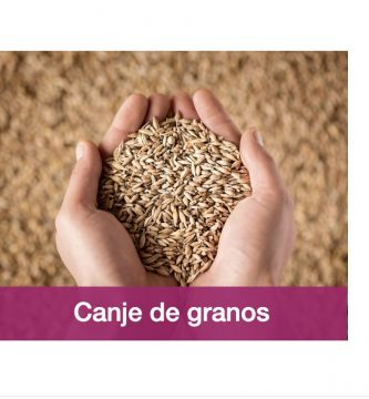 expoagro 2020 san nicolas horarios precio como llegar axion energy agro