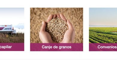 expoagro 2020 san nicolas horarios precio como llegar axion energy agro