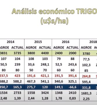 agroecologia en agricultura extensiva en argentina