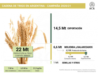 precio del trigo 2021 2020