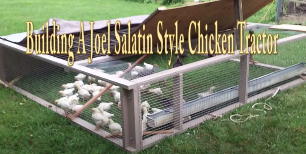 como construir un chicken tractor para pollo pastoril joel salatin