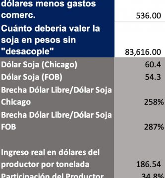 precio soja futuro 2021