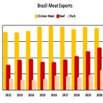 exportaciones de carne brasil 2021