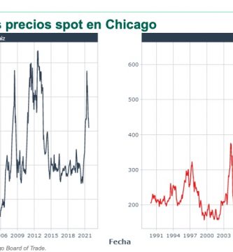 precio historico del maiz y la soja 1990 a 2021