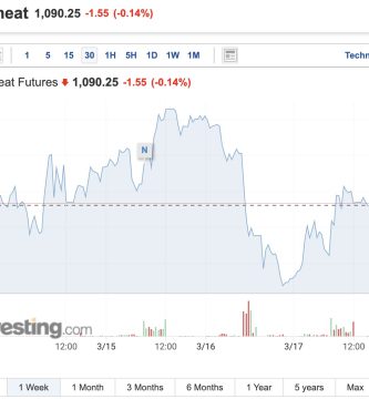 precio trigo hoy